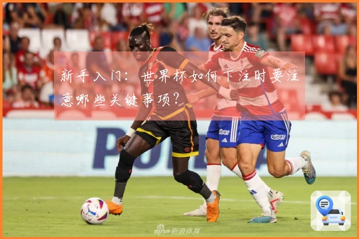 新手入门：世界杯如何下注时要注意哪些关键事项？