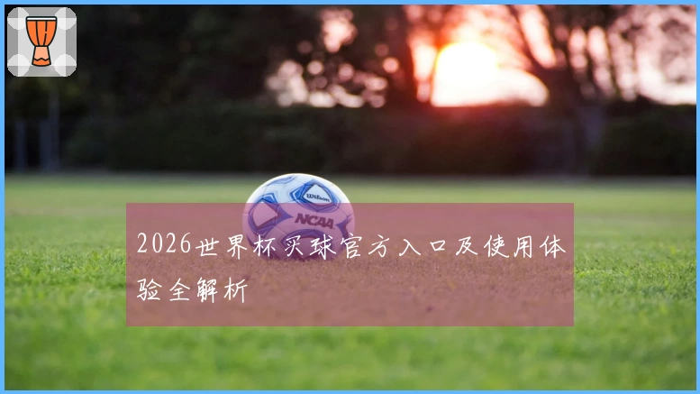2026世界杯买球官方入口及使用体验全解析