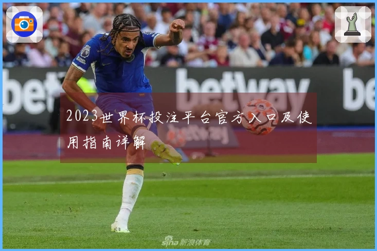 2023世界杯投注平台官方入口及使用指南详解
