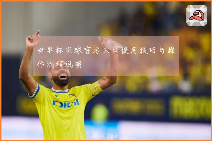 世界杯买球官方入口使用技巧与操作流程说明