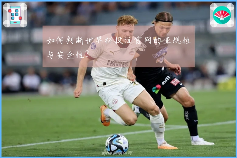 如何判断世界杯投注官网的正规性与安全性？
