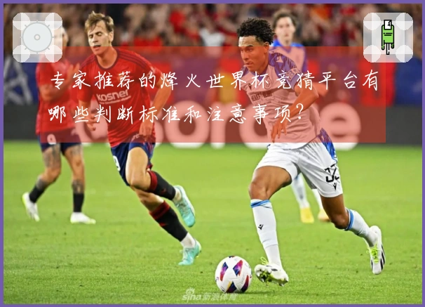 专家推荐的烽火世界杯竞猜平台有哪些判断标准和注意事项？