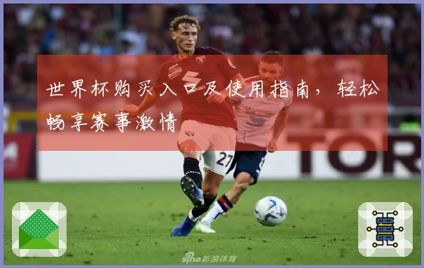 世界杯购买入口及使用指南，轻松畅享赛事激情