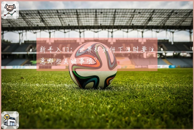 新手入门：世界杯如何下注时要注意哪些关键事项？