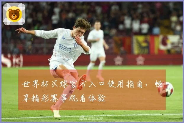世界杯买球官方入口使用指南，畅享精彩赛事观看体验