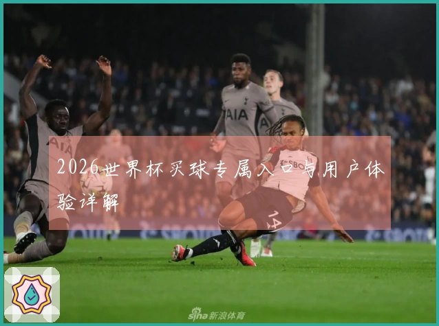 2026世界杯买球专属入口与用户体验详解