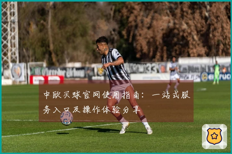中欧买球官网使用指南：一站式服务入口及操作体验分享