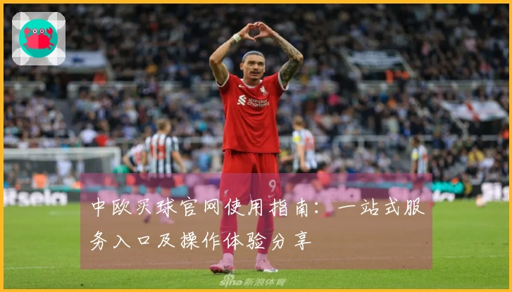 中欧买球官网使用指南：一站式服务入口及操作体验分享