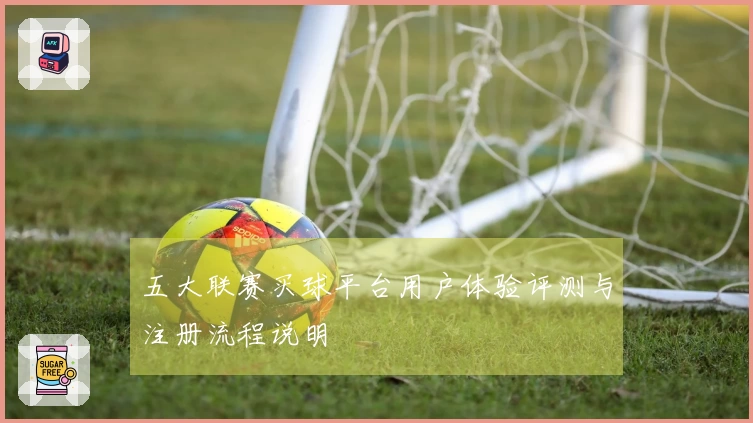 五大联赛买球平台用户体验评测与注册流程说明
