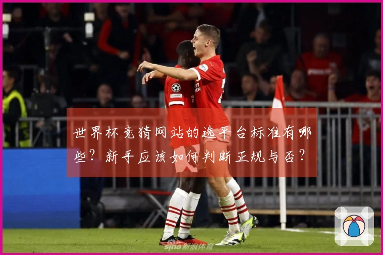世界杯竞猜网站的选平台标准有哪些？新手应该如何判断正规与否？