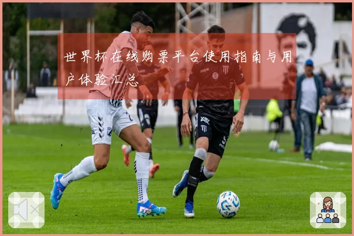世界杯在线购票平台使用指南与用户体验汇总