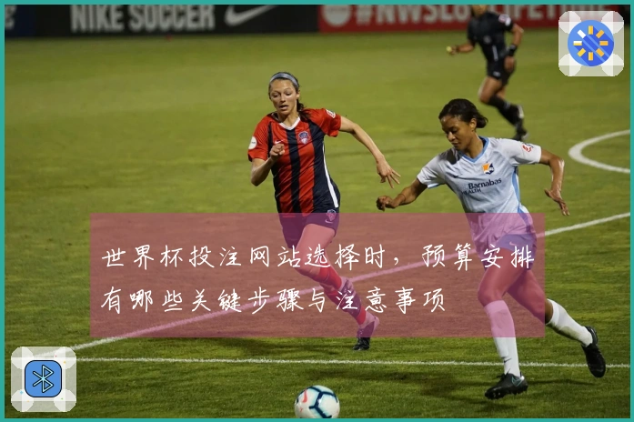 世界杯投注网站选择时，预算安排有哪些关键步骤与注意事项