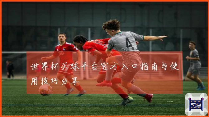 世界杯买球平台官方入口指南与使用技巧分享
