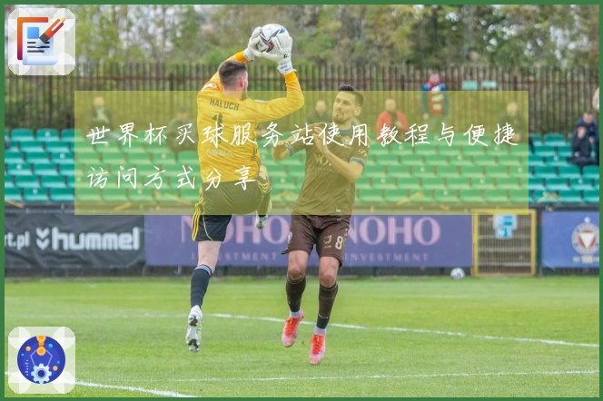 世界杯买球服务站使用教程与便捷访问方式分享