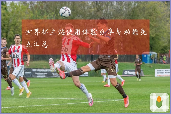 世界杯主站使用体验分享与功能亮点汇总