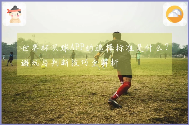 世界杯买球APP的选择标准是什么?避坑与判断技巧全解析