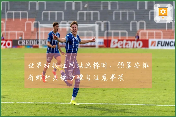 世界杯投注网站选择时，预算安排有哪些关键步骤与注意事项