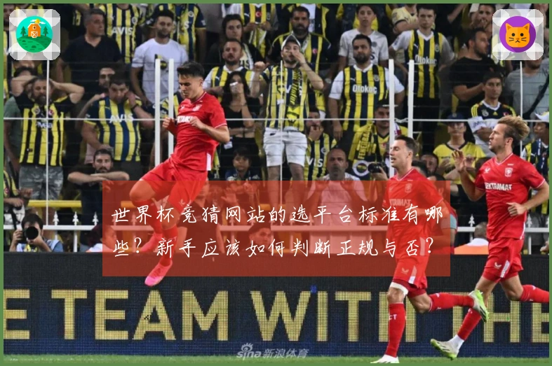 世界杯竞猜网站的选平台标准有哪些？新手应该如何判断正规与否？