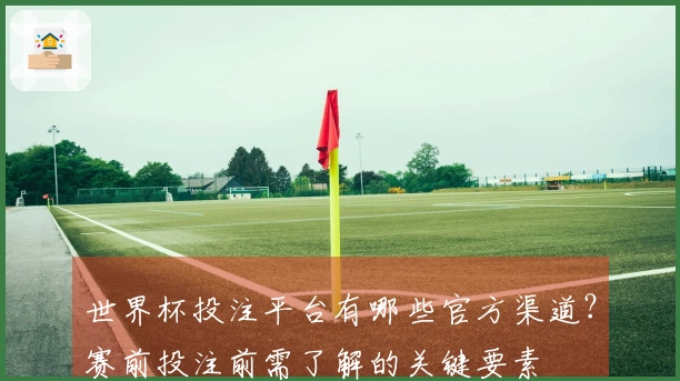 世界杯投注平台有哪些官方渠道？赛前投注前需了解的关键要素