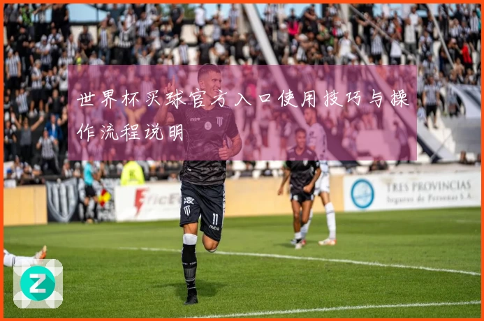 世界杯买球官方入口使用技巧与操作流程说明