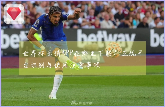 世界杯竞猜APP在哪里下载？正规平台识别与使用注意事项