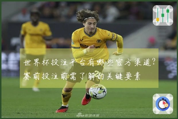 世界杯投注平台有哪些官方渠道？赛前投注前需了解的关键要素